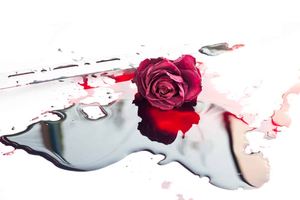 Getting over the disappointment of breaking up