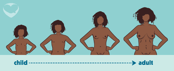 female puberty development