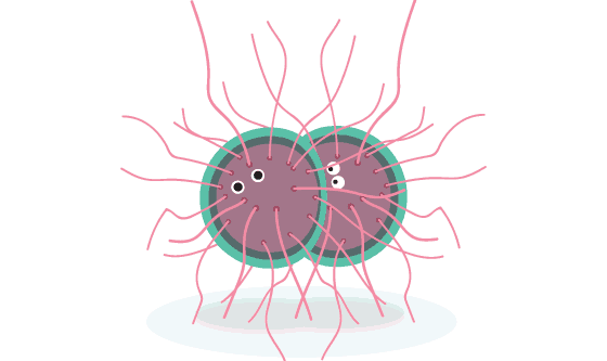 Gonorrhoea