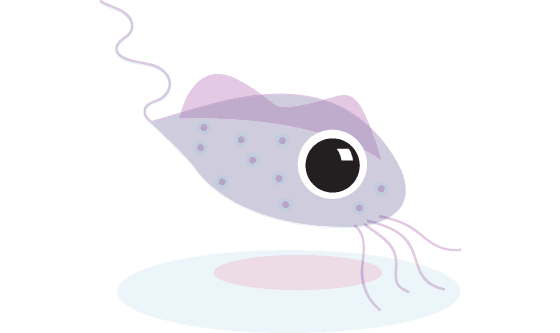 Trichomoniasis