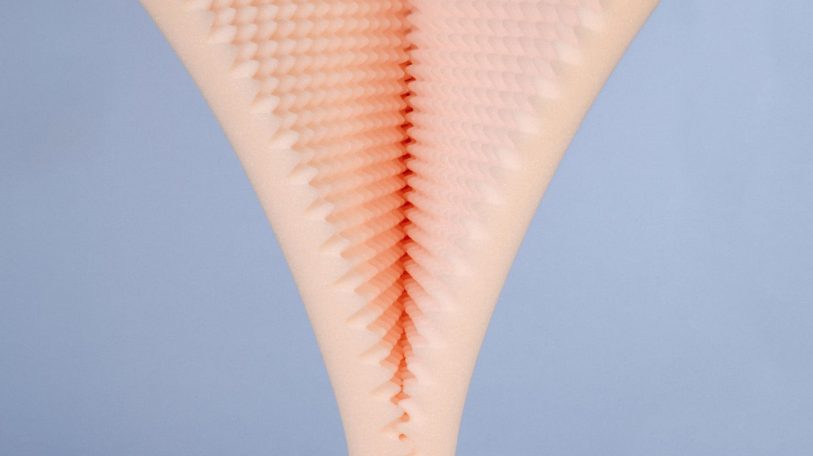 Vulva and vagina: facts, parts & pictures