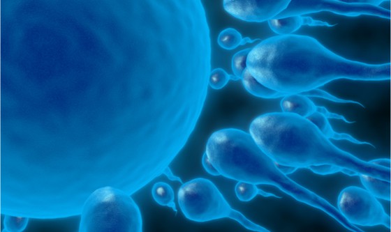 3d image of sperms and ovary
