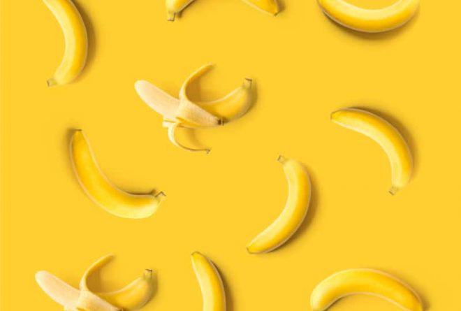 The penis: the last 15 odd facts
