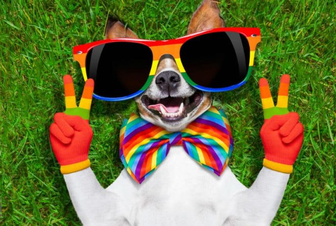 I am gay, disabled, and jolly: Here’s my story