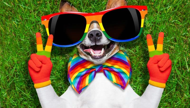 I am gay, disabled, and jolly: Here’s my story