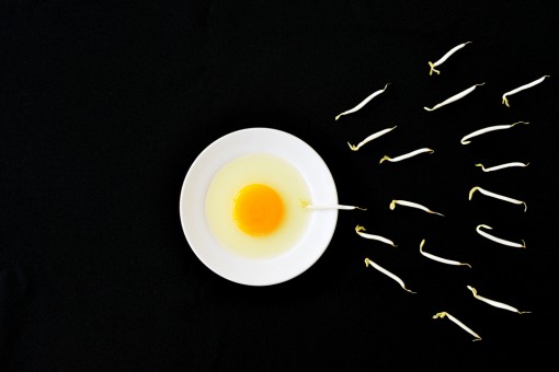 Healthy sperm
