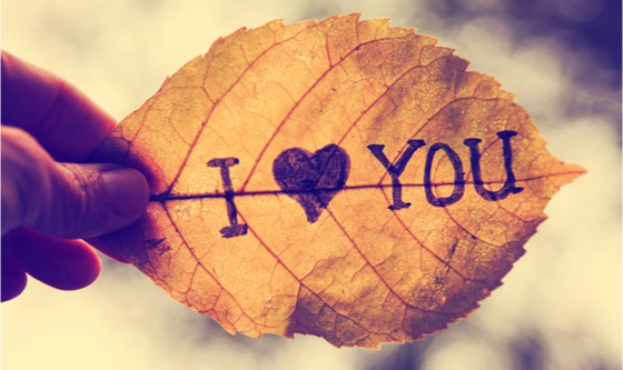 I said ‘I love you’. She said nothing.