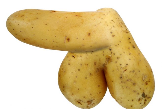 Breaking news in the world of penises