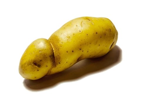 Why do I have pimples on my penis?