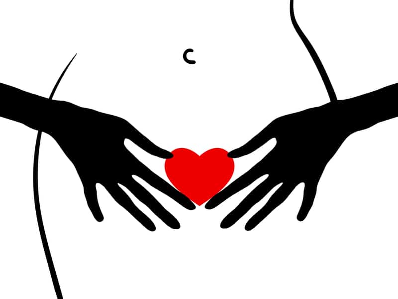 a womans heart as the shape of her genitals.