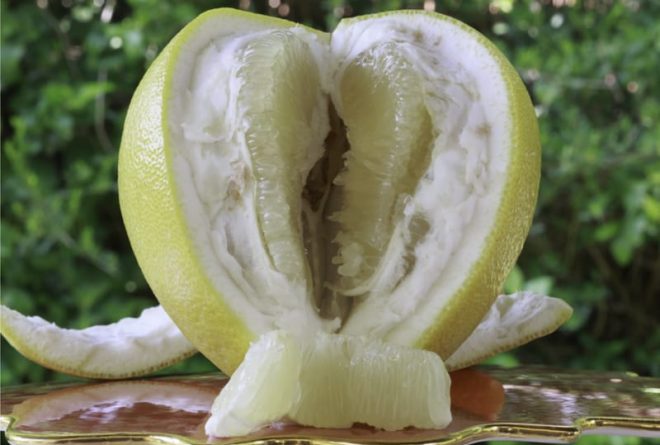 Vaginas: 13 more amazing facts