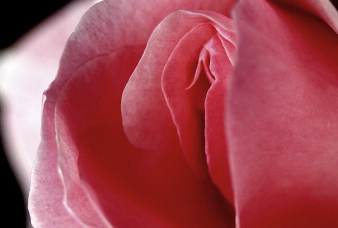 Vaginas: 15 mind-boggling facts
