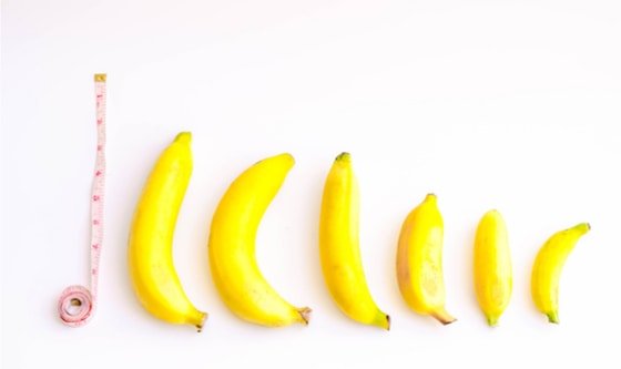 Different sized and shaped bananas