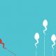 sperm swimming
